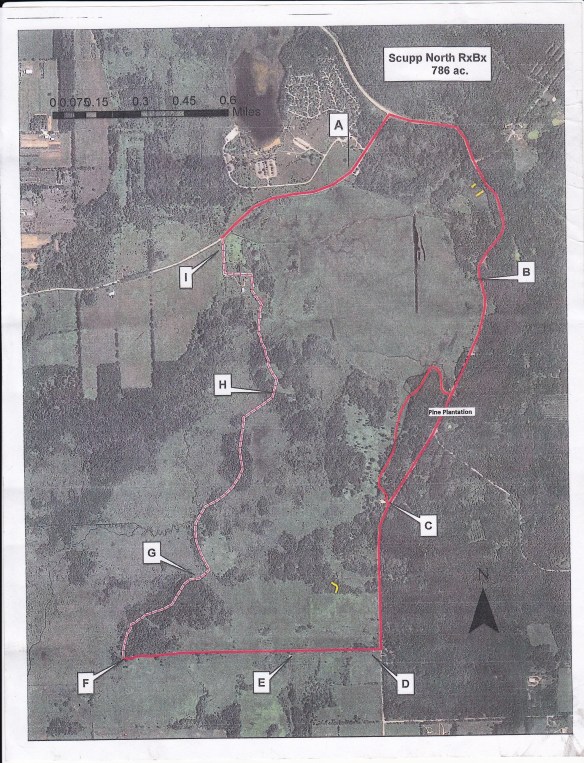 ScuppernongBurnPlan5-6-13