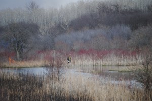 bluffcreekeasterburnnearfen