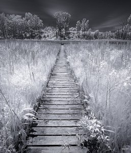 kristen-westlake-20140605-boardwalk-infrared-landscape-0001