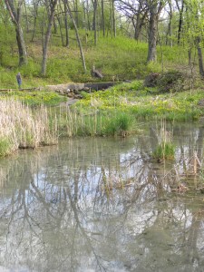 towards spring without watercress 05:03