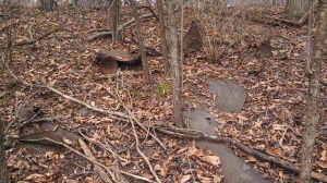 IMG_20141217_115909_067