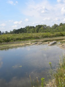 marl pit & old bridge 08:28:12 B