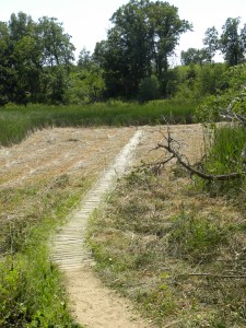 mowed boardwalk 06:24 A