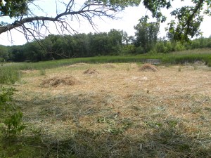 observation deck 07:14 A